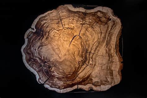 oldest human carbon dating